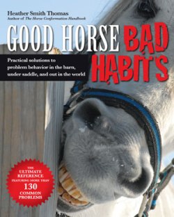 Good Horse, Bad Habits *Limited Availability*
